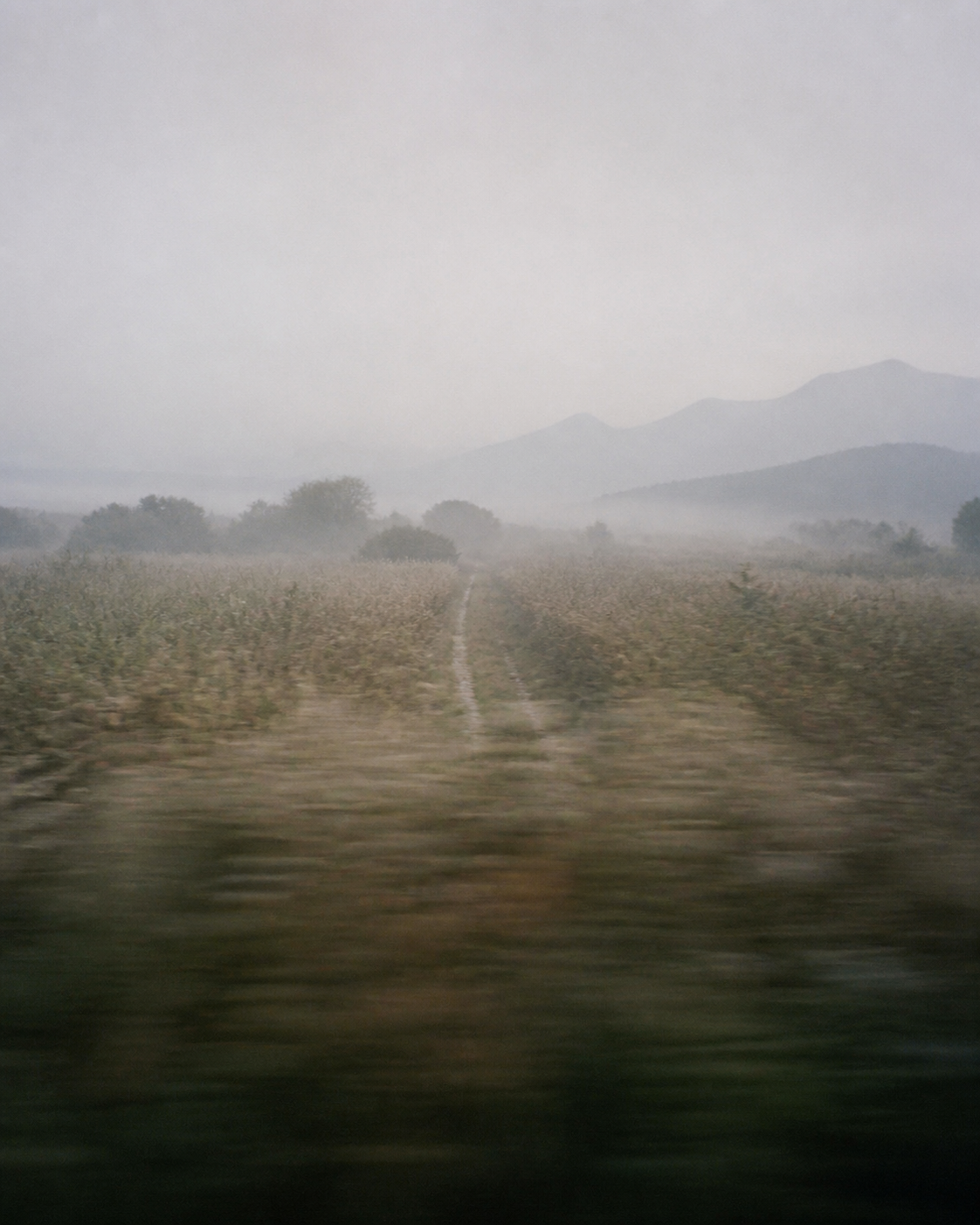 A misty path seen through a moving train window