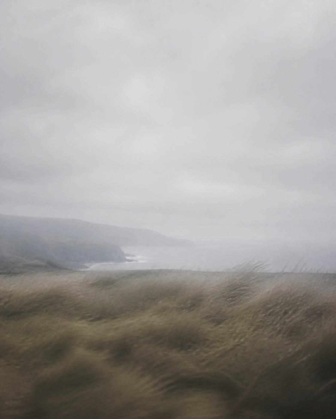 A blurred coastal field beneath a pale grey sky